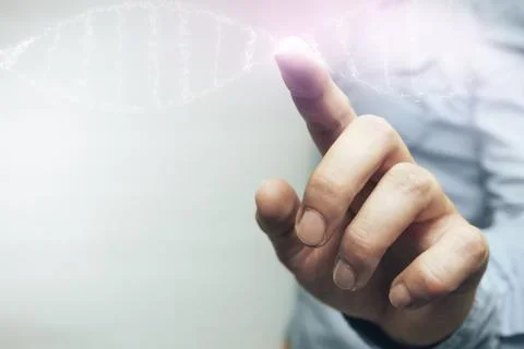 Close up of human Touching DNA molecule on a white background.. Mixed media. Stock Photos