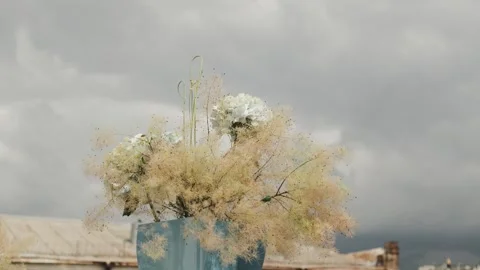 Close-up of hydrangeas against the sky. Wedding decor, white hydrangeas against Stock-Footage 323383850