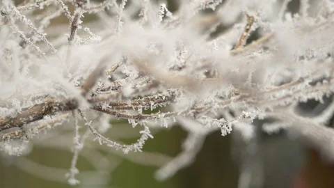 Close up of ice crystals on twigs Video stock 102196538