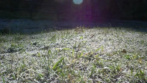Close up ice on grass. Backlight. Panning 4K Video stock 167139206