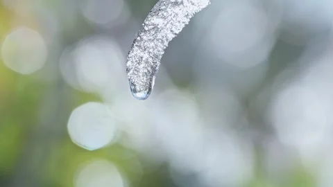 Close-up of the ice melting in spring and water droplets dripping Stock Footage 331493824