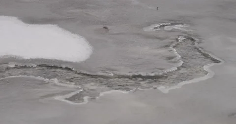 Close up of ice on a river with tiny opening and water flowing in slow motion Stock Footage 150487923