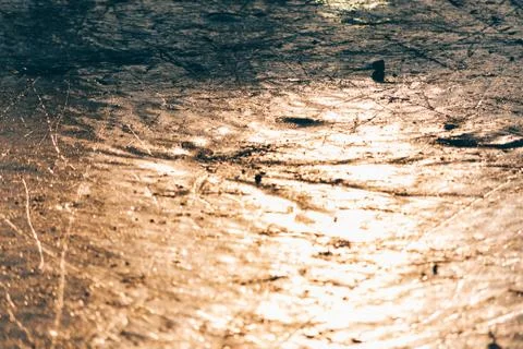 Close-up of the ice surface of the pond Stock Photos
