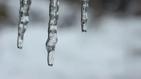 Close up of an icicle Stock Footage 72346570