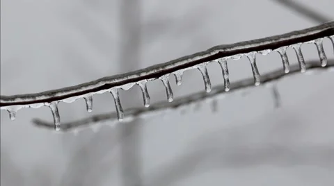 Close-Up of Icicles on Branches Stock Footage 58933064