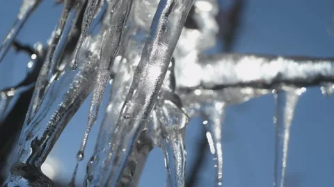 Close up, Icicles on tree branches. Stock Footage 170510948