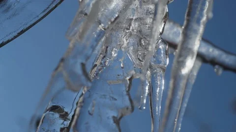 Close up, icicles on tree branches. Stock Footage 170510956