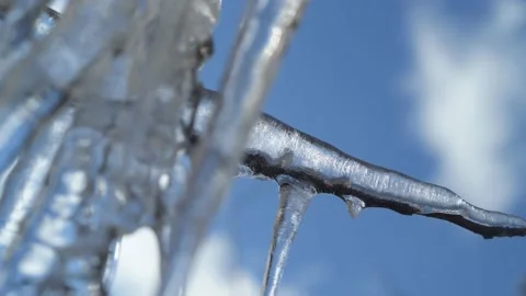 Close up, Icicles on tree branches. Stock Footage 170511116