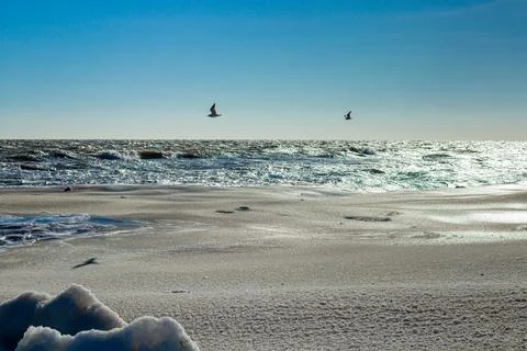 Close-up of the icy seashore Stock Photos