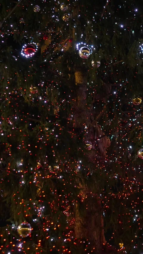 Close up of illuminated Christmas tree lights in St Peter Square 動画素材 324506733