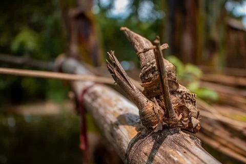 Close-up image of the bamboo knot. It can be used as a background image. Stock Photos