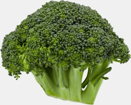 Close up image of broccoli Stock Photos