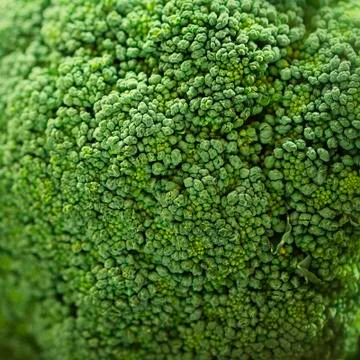 Close up image of broccoli, shallow depth of field Stock Photos