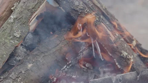 Close up image of burning wood. Medium heat to provide warmth to the workers. Stock Footage 208447808