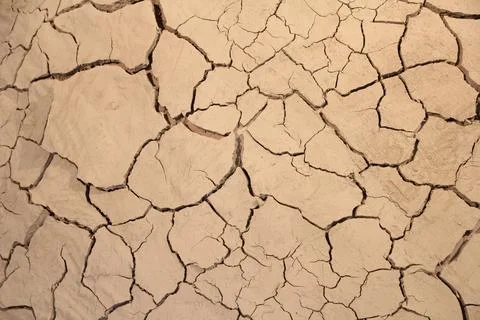Close image of dried mud with cracks and cracks. Stock Photos