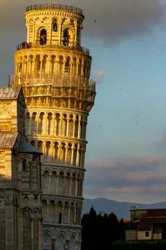 Close up image of the famous Leaning tower of Pisa at sunset . Stock Photos