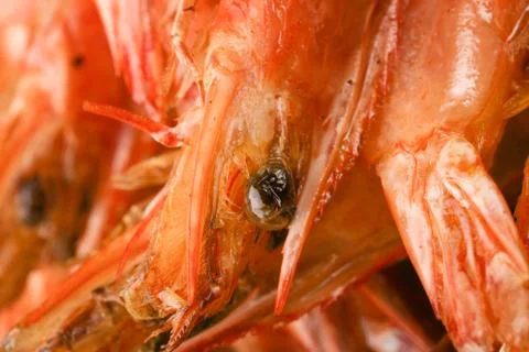 Close up image of the fried shrimps Stock Photos