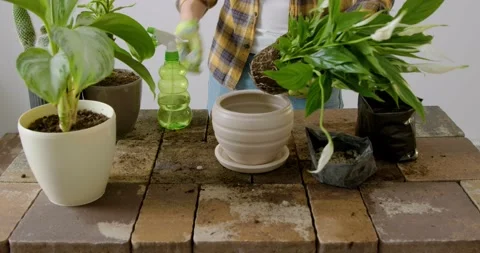 Close-up image of how a man with green gloves takes a fourth flower out of a Stock Footage 234609537