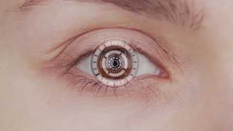Close-up image of a human eye with a digital scanning interface. Identification Stock Footage 146862149