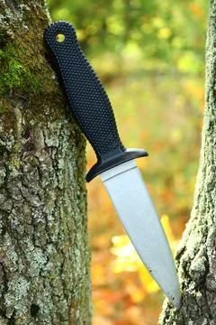 A close-up image of a knife stuck in the rough, weathered bark of a tree Stock Photos