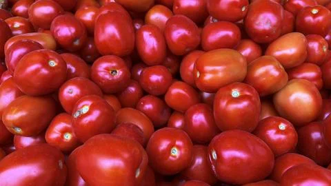 A close-up image of a large pile of red tomatoes. The tomatoes are shiny an.. Stock Photos