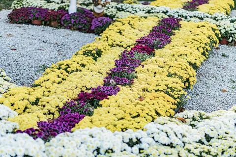 Close-up image of a large, yellow and white floral cross arrangement on grave Stock Photos