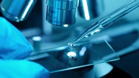 Close up image of a microscope for laboratory research on the Corona Virus Stock Footage 336582878