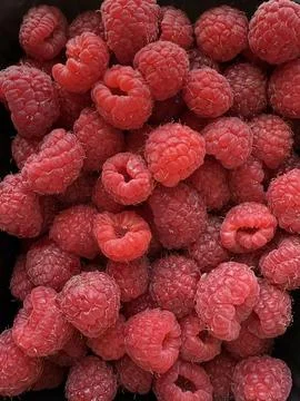 Close-up image of multiple fresh red raspberries. The berries are clean Stock Photos