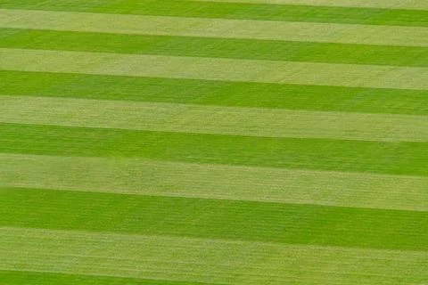 A close-up image of a neatly maintained baseball field, showcasing precisio.. Stock Photos