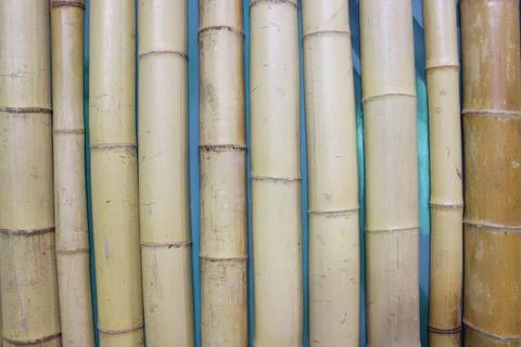 Close up image of an old bamboo wall. decorative wall panel, colorful bamboo Stock Photos