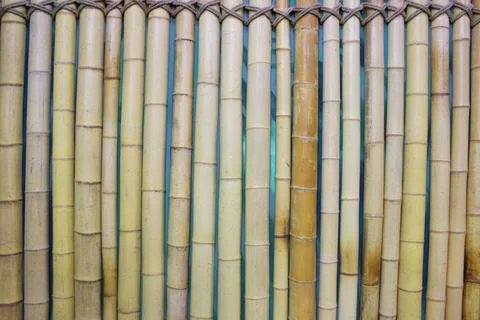 Close up image of an old bamboo wall. decorative wall panel, colorful bamboo Stock Photos