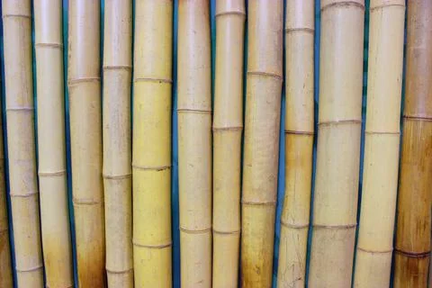 Close up image of an old bamboo wall. decorative wall panel, colorful bamboo Stock Photos