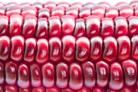 Close up image of purple corn Stock Photos