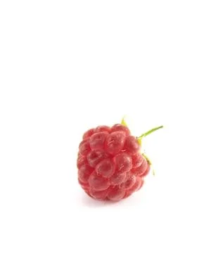 Close-up image of a raspberry on a white background. Stock Photos