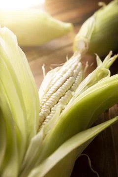 Close up image of raw white corn on the cob on wooden rustic surface. Copy sp Stock Photos