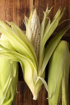 Close up image of raw white corn on the cob on wooden rustic surface. Foto stock
