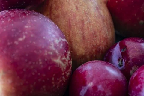 Close-up image of red fresh apples Stock Photos
