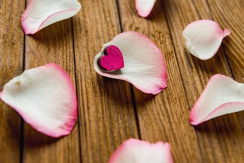 Close-up image of red rose petals on a wooden background Stock Photos