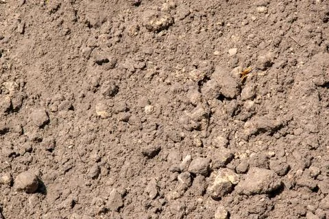 A close-up image showcasing brown soil with small stones, illuminated by sunl Stock Photos
