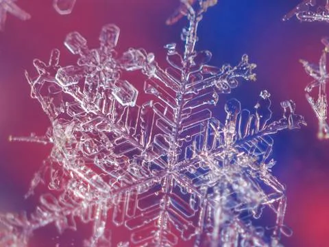 Close-up image of single snow flake on colorful background Stock Photos