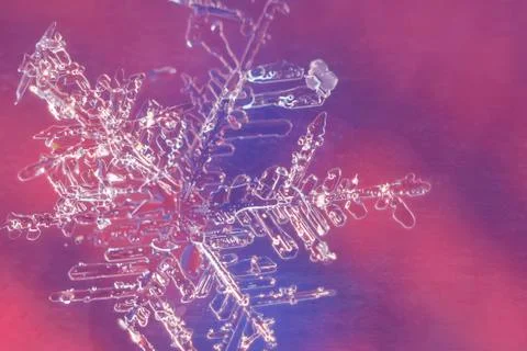 Close-up image of single snow flake on colorful background Stock Photos