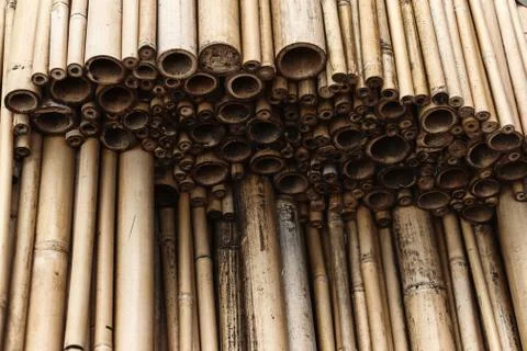 A close image of a slice of dry bamboo, texture, wallpaper. Stock Photos