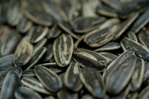 Close-up image of sunflower seed background Stock Photos