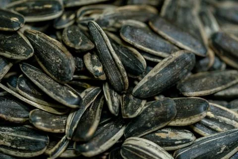 Close-up image of sunflower seed background Stock Photos