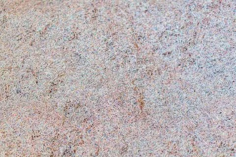Close-up image of a textured surface with small dots and specks in shades of  Stock Photos