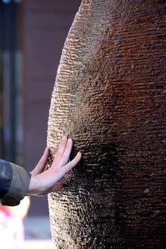 Close up image of two hands touching a shiny wet surface Stock Photos
