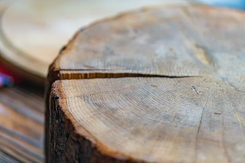 Close-up image of a wood section from a tree trunk, showcasing growth rings B Stock Photos