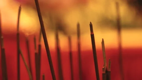Close-Up Incense Sticks Burning with Smoke Against Bright Backdrop Stock-Footage 342527901