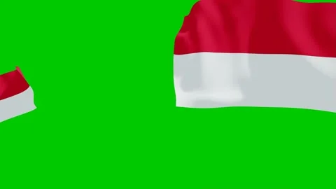 Close Up of Indonesian Flag Edge Stock Footage 319883568