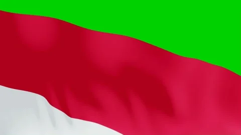 Close Up of Indonesian Flag Waving Stock Footage 319883607